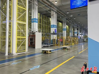 工業(yè)經(jīng)濟向“綠”而行，武漢建成50家國家級綠色工廠引領(lǐng)轉(zhuǎn)型